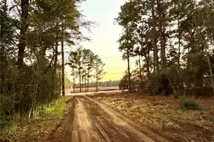 18750 Keenan Cut Off Rd, Montgomery, TX 77316 - Photo 39