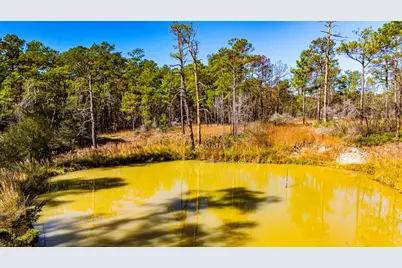 018 Magnolia Ranch Road, Onalaska, TX 77360 - Photo 9