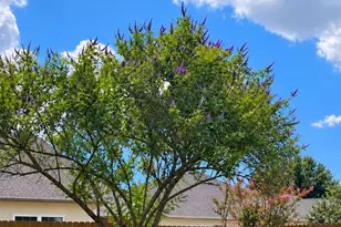 6323 Tahoe Crossing Ln, Houston, TX 77066 - Photo 33
