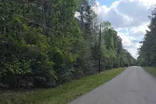 0 N Mill Dr, Magnolia, TX 77354 - Photo 3