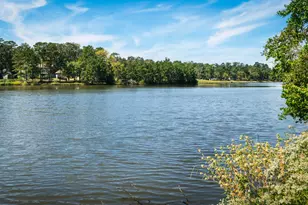 9902 Crestwater Cir, Magnolia, TX 77354 - Photo 45