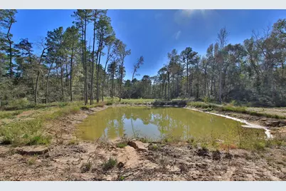 19324 Crystalwood Estates Drive, New Caney, TX 77357 - Photo 9
