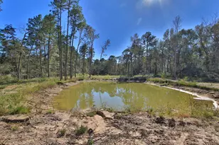 19324 Crystalwood Estates Dr, New Caney, TX 77357 - Photo 9