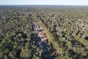 19324 Crystalwood Estates Dr, New Caney, TX 77357 - Photo 1