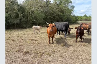 33450 Howell Road, Waller, TX 77484 - Photo 21