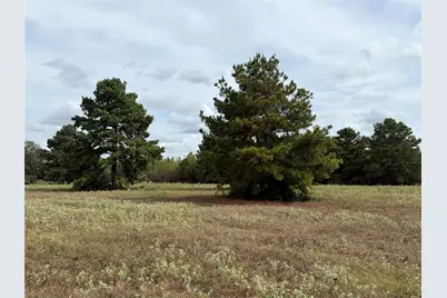 33450 Howell Road, Waller, TX 77484 - Photo 13