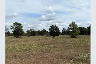 33450 Howell Road, Waller, TX 77484 - Photo 9