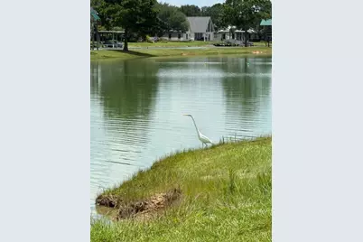 17521 Rose Down Circle, Cypress, TX 77429 - Photo 3