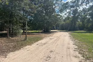 772 County Rd 2191, Cleveland, TX 77327 - Photo 23