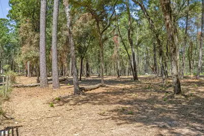 0 Mitchell Lane, Plantersville, TX 77363 - Photo 11
