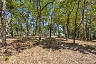 0 Mitchell Lane, Plantersville, TX 77363 - Photo 13