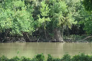 177 White Oak Dr, Trinity, TX 75862 - Photo 7