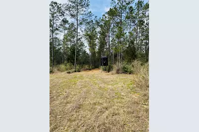 2071 Camp Seale Road, Livingston, TX 77351 - Photo 31