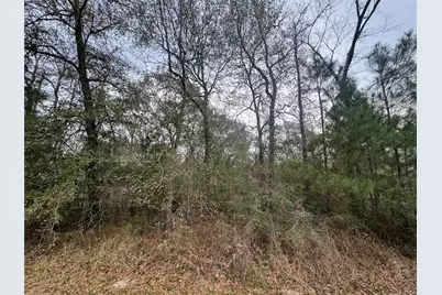 0 N Bonnie Lake Dr, Hempstead, TX 77445 - Photo 5