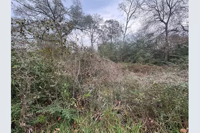 0 N Bonnie Lake Dr, Hempstead, TX 77445 - Photo 1