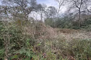 0 N Bonnie Lake Dr, Hempstead, TX 77445 - Photo 1