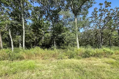 10 Acres Lot 81 Woodland Hills Ranch, Centerville, TX 75833 - Photo 5