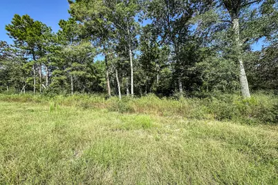 10 Acres Lot 81 Woodland Hills Ranch, Centerville, TX 75833 - Photo 5