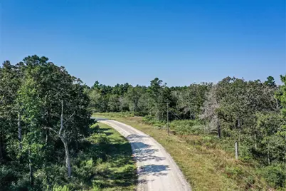 10 Acres Lot 81 Woodland Hills Ranch, Centerville, TX 75833 - Photo 3