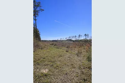 925 County Line Rd Road, Shepherd, TX 77371 - Photo 5