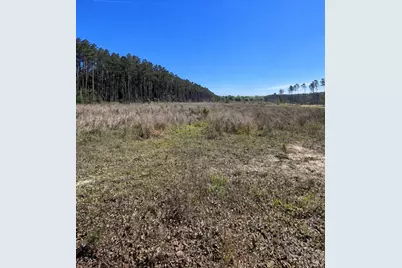 925 County Line Rd Road, Shepherd, TX 77371 - Photo 7