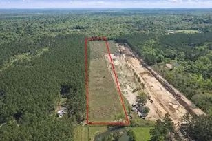 925 County Line Rd Rd, Shepherd, TX 77371 - Photo 1