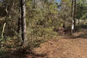 8249 Soapberry Ln, Plantersville, TX 77363 - Photo 11