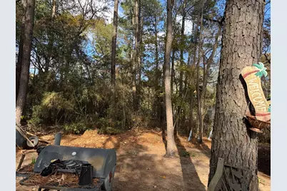 8249 Soapberry Lane, Plantersville, TX 77363 - Photo 15