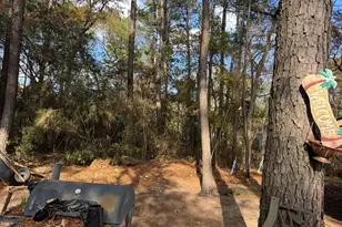 8249 Soapberry Ln, Plantersville, TX 77363 - Photo 15