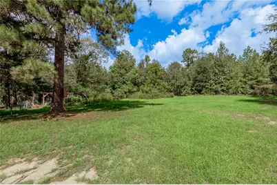 347 Shelby, Livingston, TX 77351 - Photo 45
