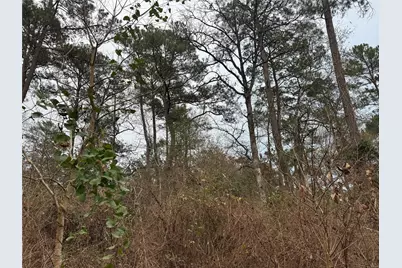 13475 White Oak Drive, Plantersville, TX 77363 - Photo 1