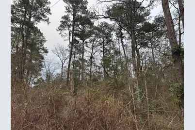 13475 White Oak Drive, Plantersville, TX 77363 - Photo 7