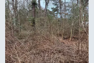 13475 White Oak Drive, Plantersville, TX 77363 - Photo 5