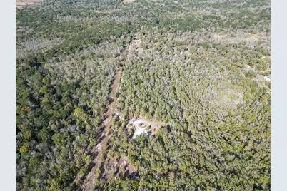 27071 Bedias Drive, Bedias, TX 77831 - Photo 19