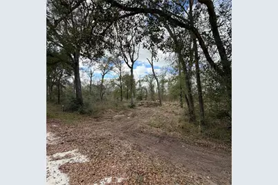 25028 Leitrim Street, Hempstead, TX 77445 - Photo 3