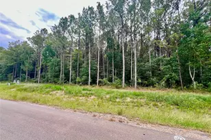 1884 Rd 66116, Dayton, TX 77535 - Photo 1