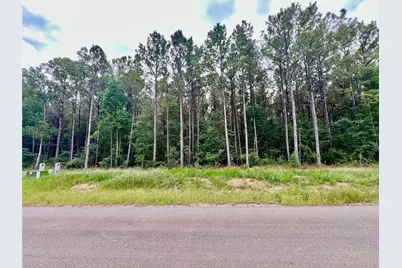 1884 Road 66116, Dayton, TX 77535 - Photo 3