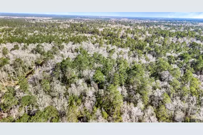 12310 Picos Road, Saratoga, TX 77585 - Photo 5