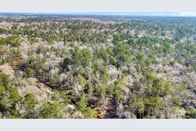 12310 Picos Road, Saratoga, TX 77585 - Photo 7