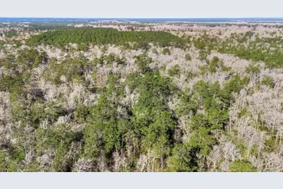 12310 Picos Road, Saratoga, TX 77585 - Photo 3