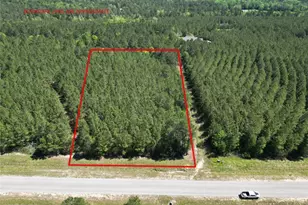 11849 Moss Grv Ct, Willis, TX 77378 - Photo 1