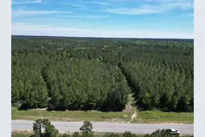 11849 Moss Grove Court, Willis, TX 77378 - Photo 7