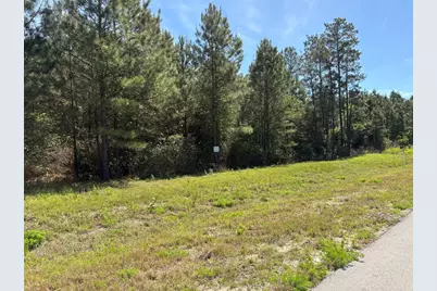 11849 Moss Grove Court, Willis, TX 77378 - Photo 35