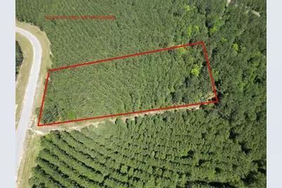 11849 Moss Grove Court, Willis, TX 77378 - Photo 13