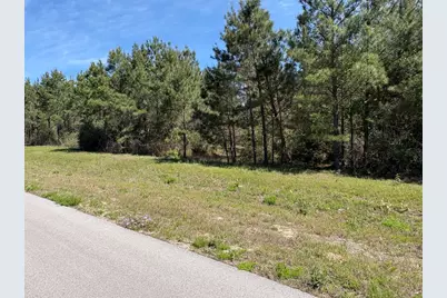 11849 Moss Grove Court, Willis, TX 77378 - Photo 33