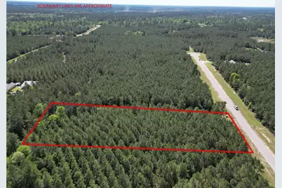 11849 Moss Grove Court, Willis, TX 77378 - Photo 5