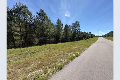 11849 Moss Grove Court, Willis, TX 77378 - Photo 37