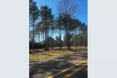 358 Holcombe Road, Groveton, TX 75845 - Photo 1