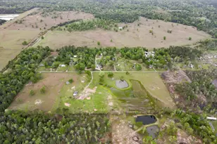 Tract 8 Lt 28 Pickering Rd, Conroe, TX 77302 - Photo 9