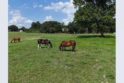 4952 Fm 3091, Madisonville, TX 77864 - Photo 23